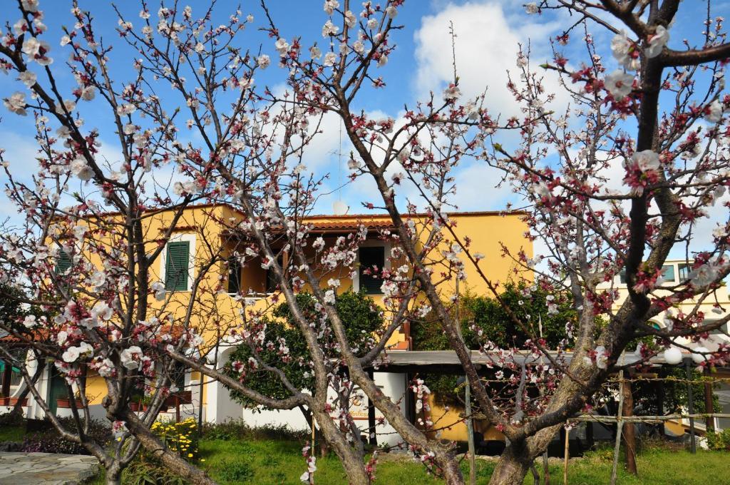 Hotel La Marticana Ischia Exterior foto