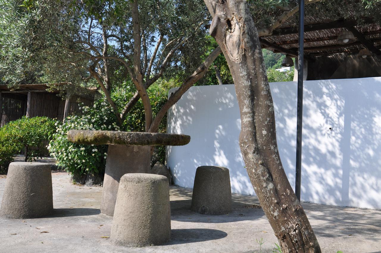 Hotel La Marticana Ischia Exterior foto