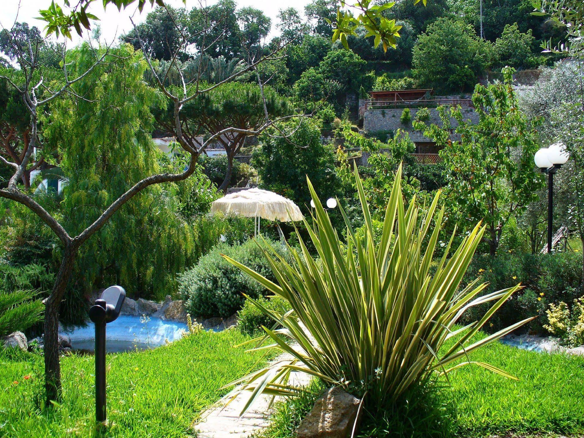 Hotel La Marticana Ischia Exterior foto